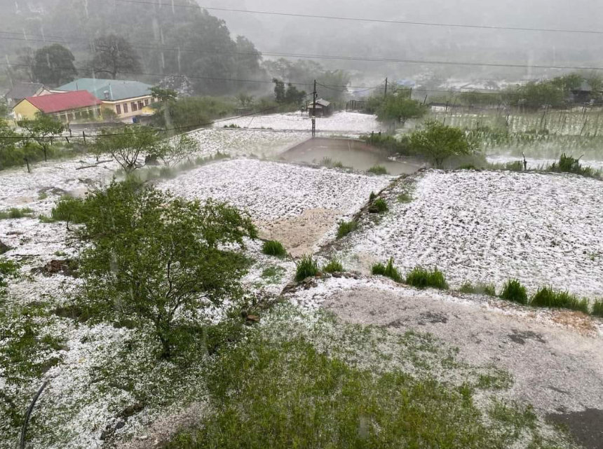 Hailstones cover a field in Van Ho District, Son La Province, northern Vietnam on April 24, 2024. Photo: Facebook account - Tin Tuc Moc Chau