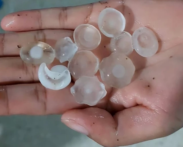 Hailstones up to three centimeters in diameter rain down in Lao Cai Province. Photo: Vietnam News Agency