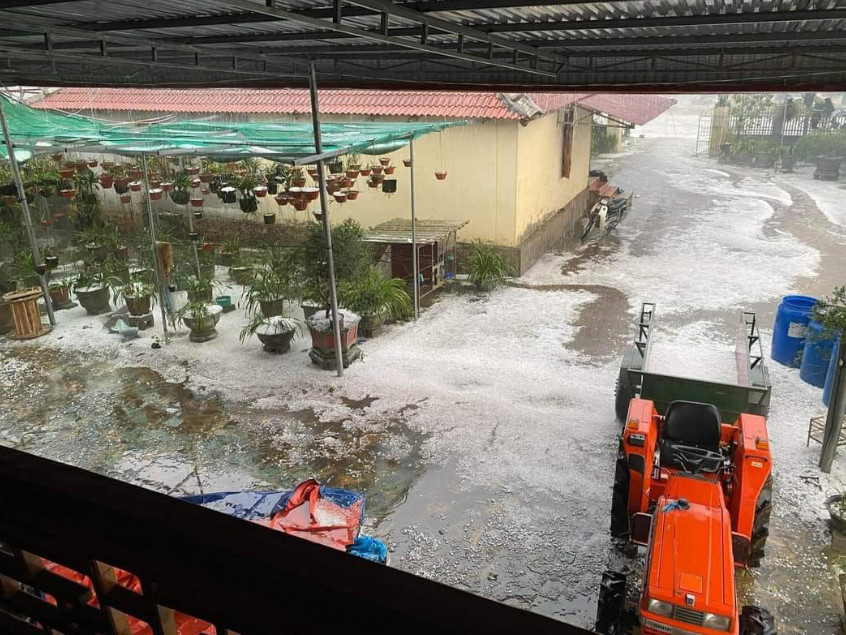 Hailstones cover a yard and a nearby road. Photo: T. Thuy / Tuoi Tre