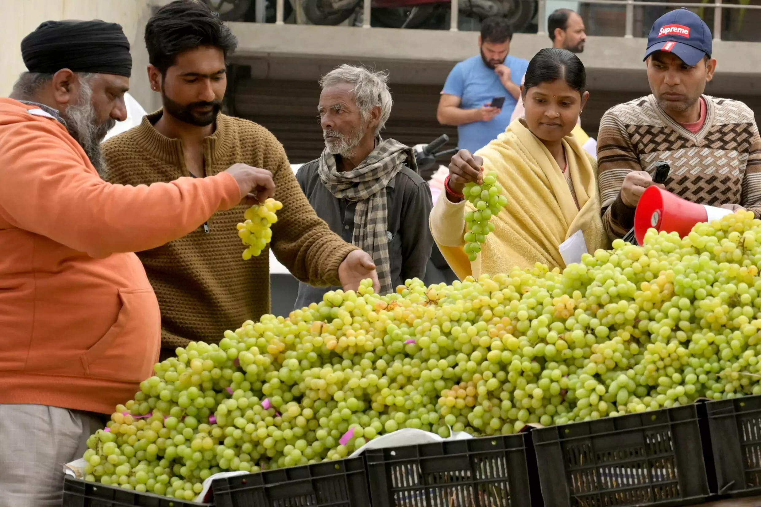 India has been expanding its grape production. A fruit vendor in Amritsar. Photo: AFP