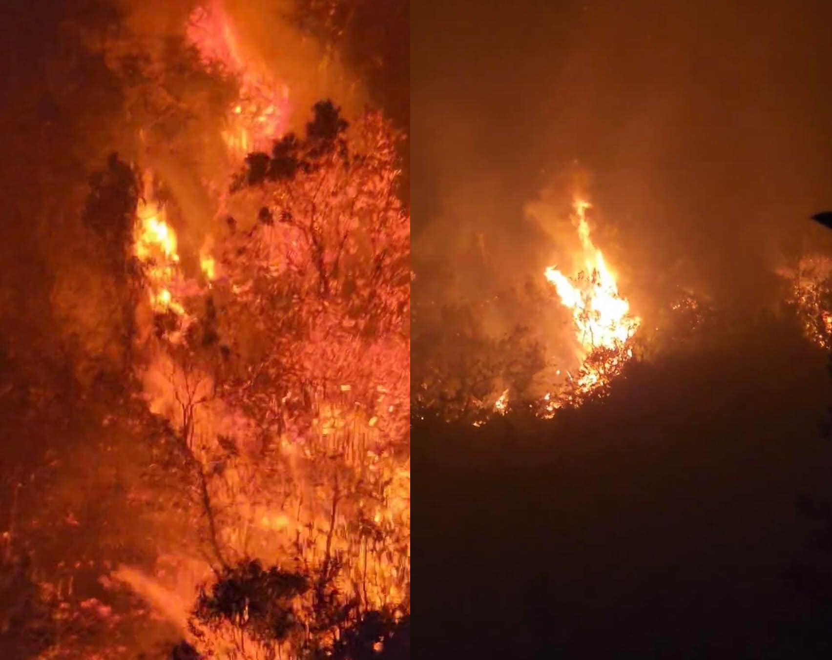2 rangers die battling forest fire in northern Vietnam