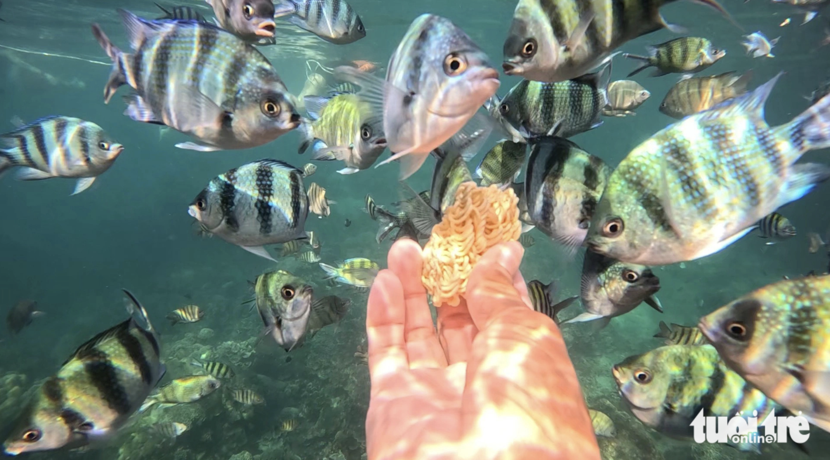 Tourists enamored with camping, feeding fish on Vietnam’s Phu Quoc Island
