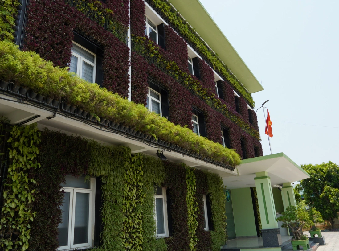 The greenery area is seen near the entrance of the Dong Hoi City Public Service Management Board in Quang Binh Province, central Vietnam. Photo: Quoc Nam / Tuoi Tre