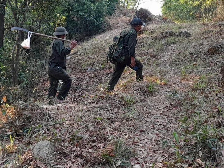 Rangers are seen in a patrol in a forest area in Thua Thien-Hue Province, northern central Vietnam, during April 30-May 1, 2024. Photo: Thua Thien-Hue Forest Protection Sub-Department