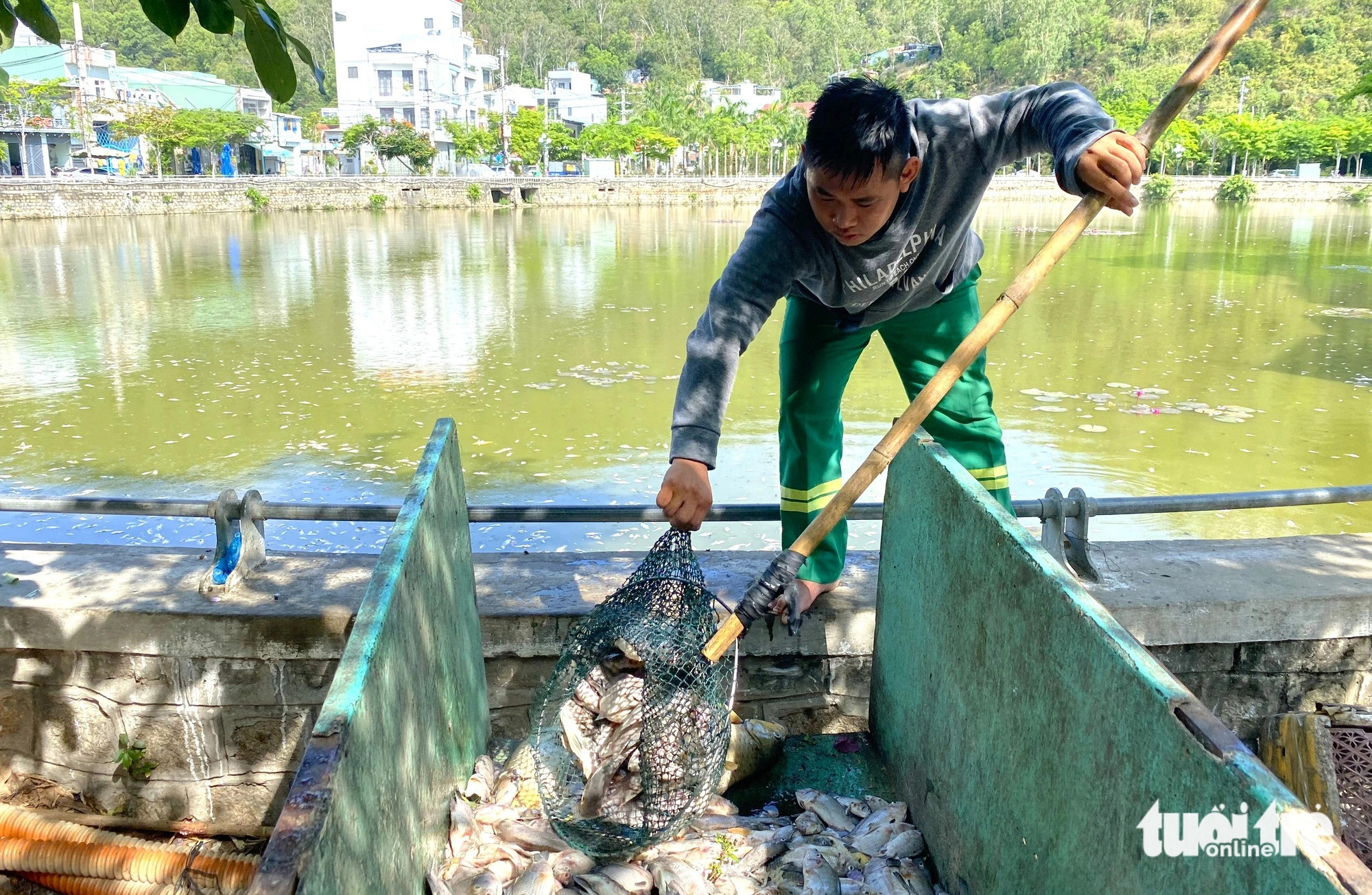 Balancing lake in Vietnam’s Binh Dinh hit by mass fish die-off