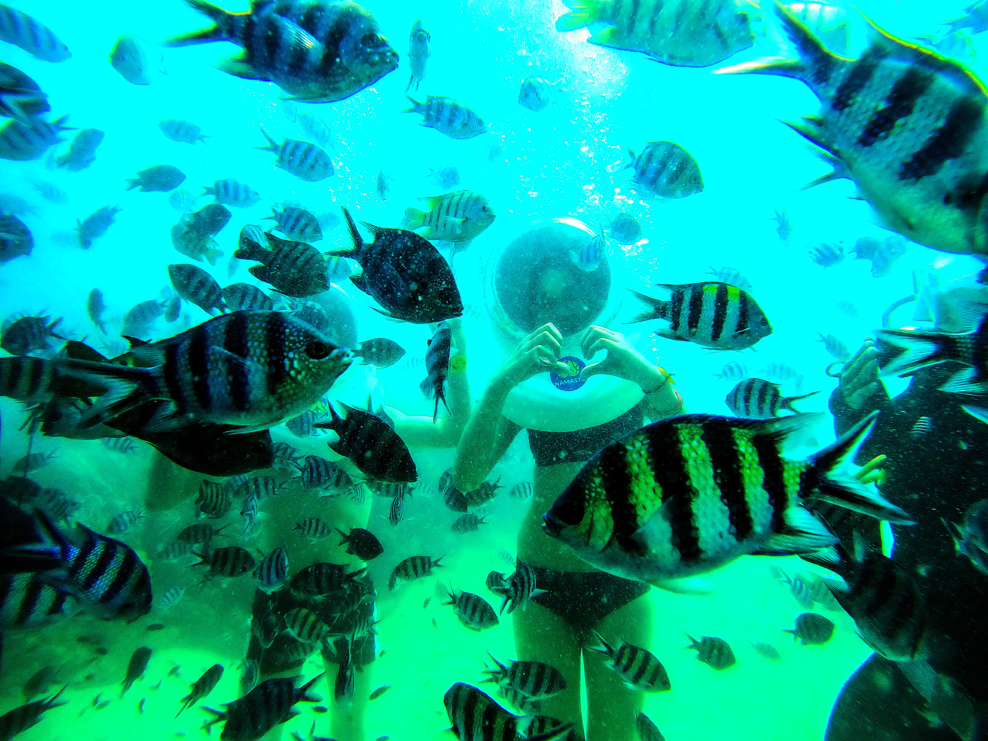 A tourist poses for a photo among schools of fish in the waters of Phu Quoc island in Kien Giang Province, southern Vietnam. Photo: Hoang Giam / Tuoi Tre