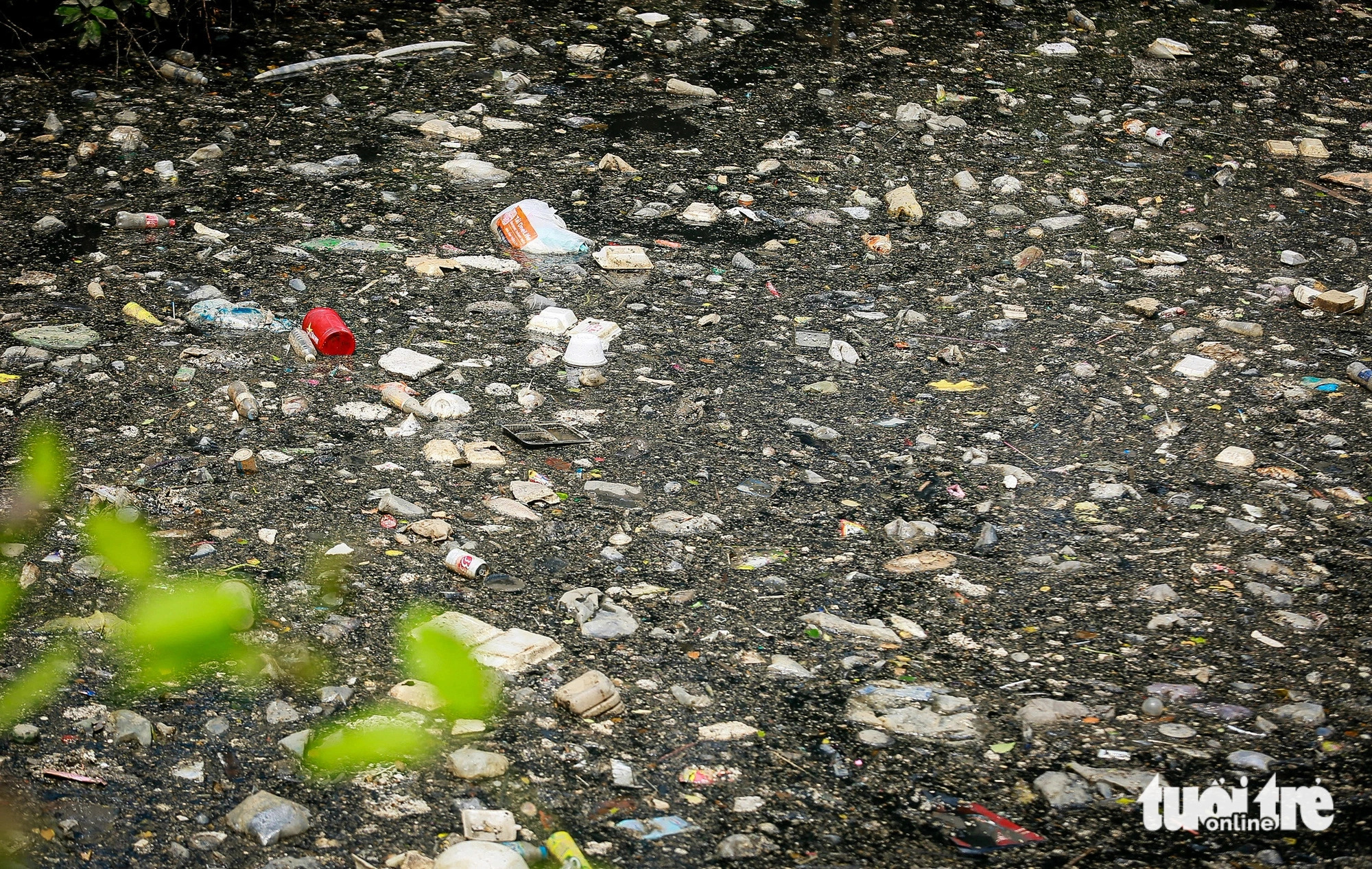 A floating carpet of garbage and dead fish in the Nhieu Loc-Thi Nghe Canal in Ho Chi Minh City, May 8, 2024. Photo: Chau Tuan / Tuoi Tre