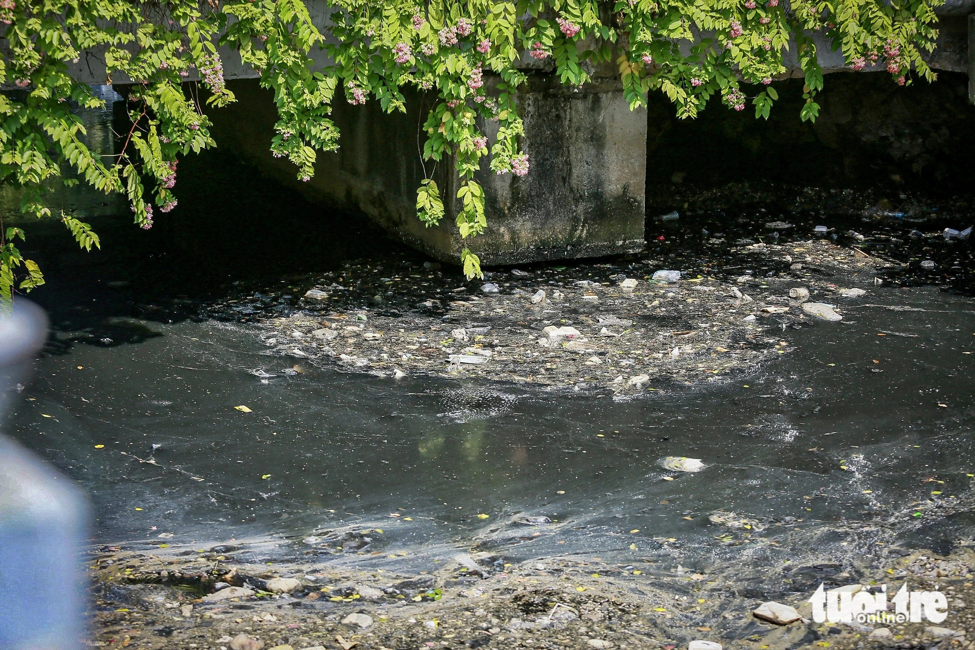 Contaminated black water in the Nhieu Loc-Thi Nghe Canal in Ho Chi Minh City, May 8, 2024. Photo: Chau Tuan / Tuoi Tre