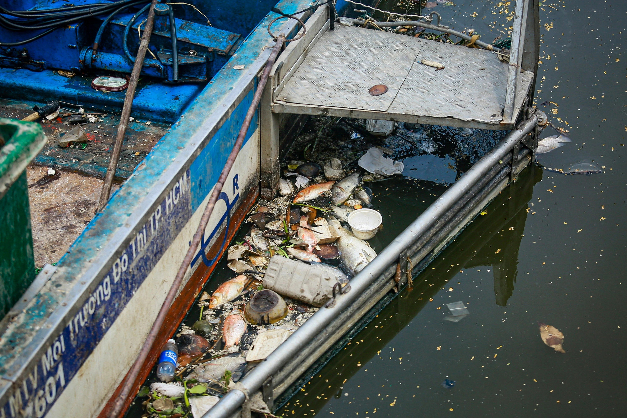 Sanitation workers have removed at least six metric tons of dead fish and garbage from the Nhieu Loc-Thi Nghe Canal in Ho Chi Minh City. Photo: Chau Tuan / Tuoi Tre