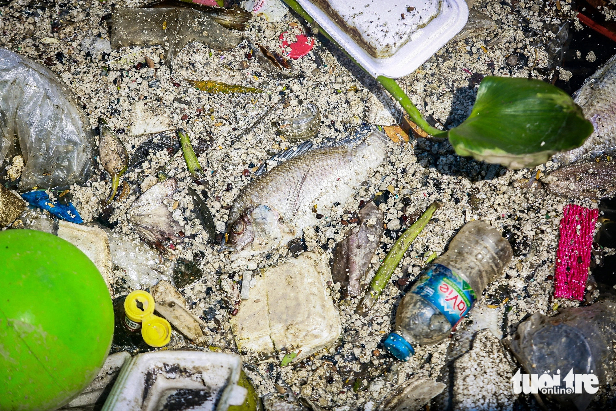 The canal has seen a surging volume of garbage after the first downpours in the rainy season. Photo: Chau Tuan / Tuoi Tre