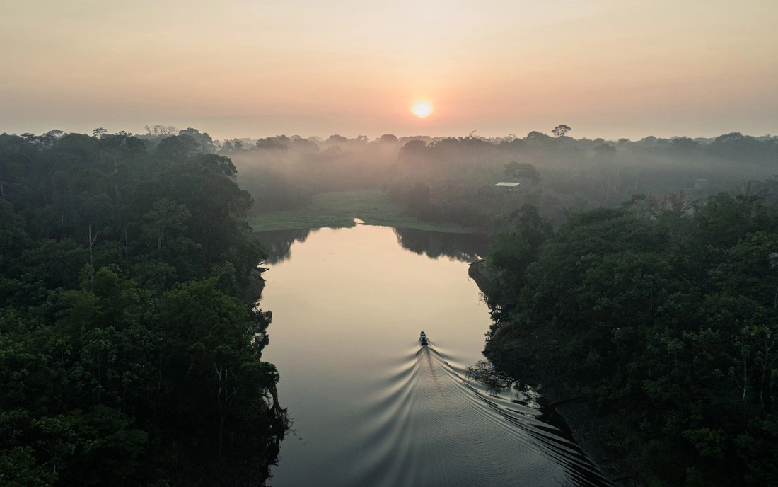 A photo of an Amazon forest area in South America, taken by Ngo Quang Dung, who visited the place along with his Japanese wife Chiaki.  Photo: Supplied.