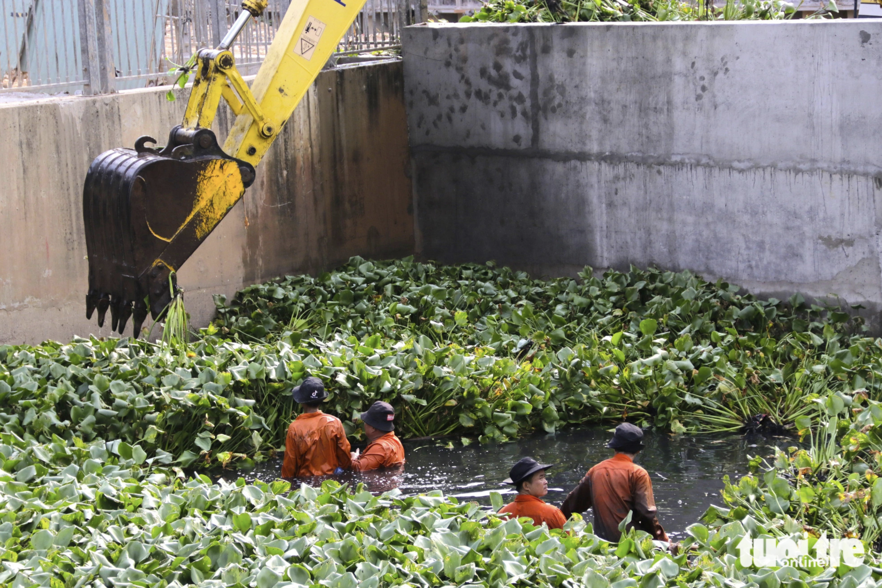 Sanitation workers remove water hyacinths and garbage in a section of Nuoc Den (Black Water) Canal in Binh Hung Hoa Ward in Binh Tan District, Ho Chi Minh City on May 13, 2024. Photo: Tien Quoc / Tuoi Tre