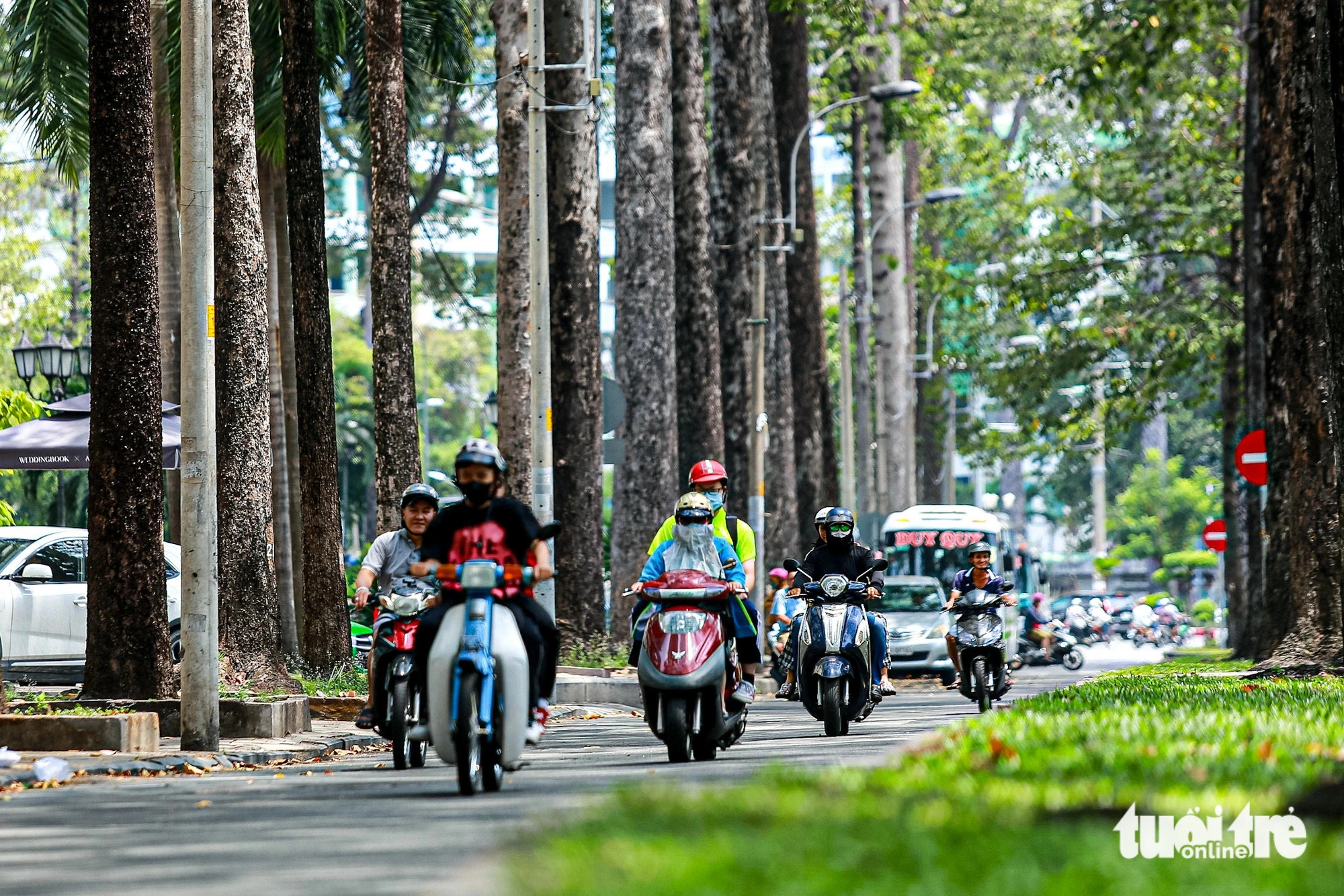 Aside from sizable shaded parks, the city boasts many major tree-lined, shady streets like An Duong Vuong, February 3. Photo: Phuong Quyen / Tuoi Tre