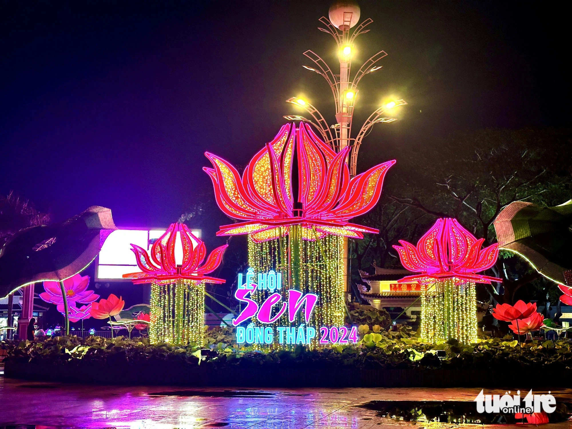 2nd lotus festival kicks off in Vietnam’s Dong Thap