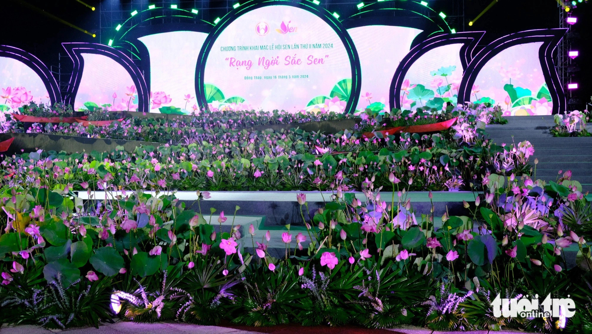 A stage decorated with thousands of lotus pots at the opening ceremony of the second Lotus Festival in Dong Thap Province, southern Vietnam on May 16, 2024. Photo: Dang Tuyet / Tuoi Tre