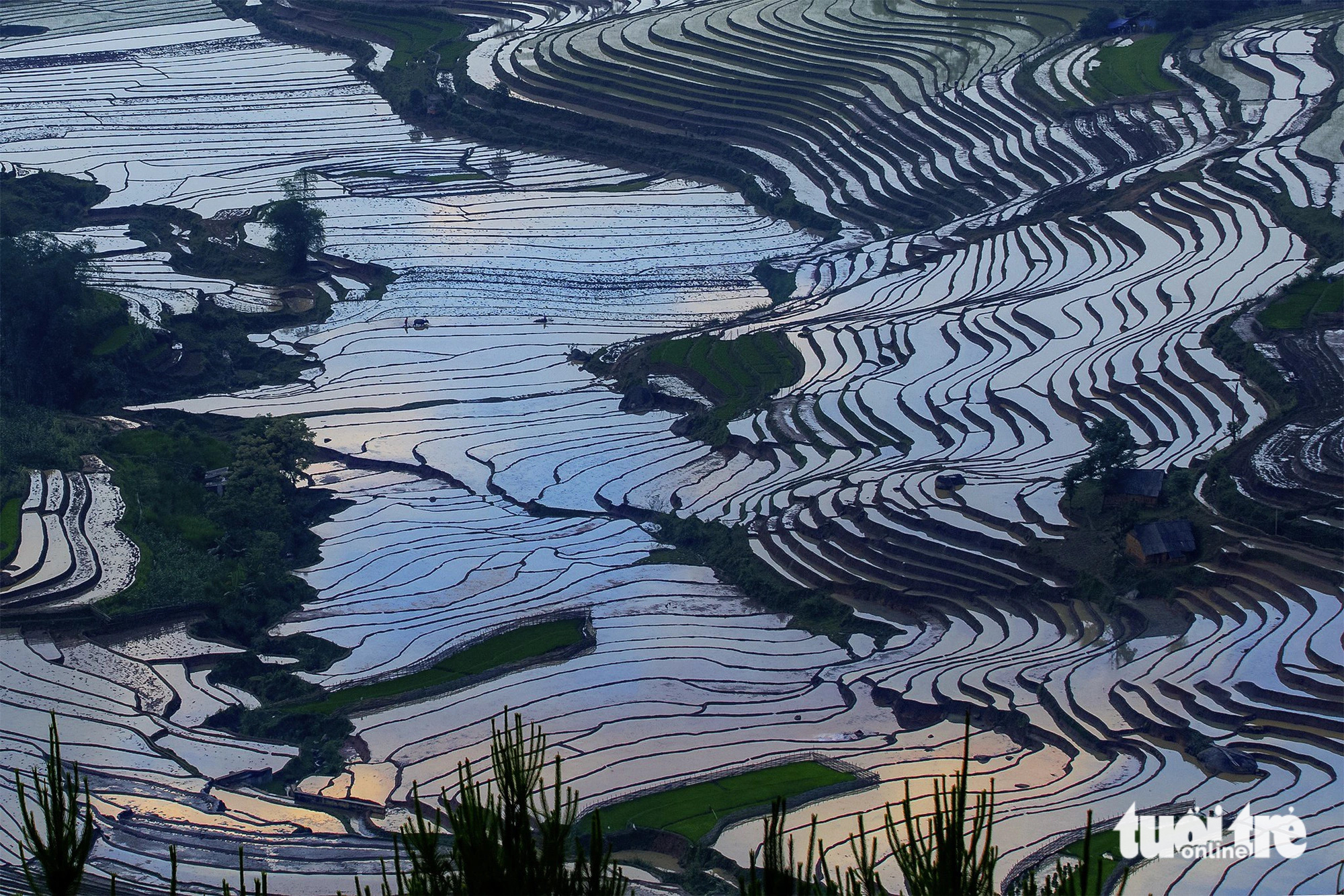 A bird’s-eye view of expansive flooded fields in Y Ty Commune, Bat Xat District, Lao Cai Province, northern Vietnam, May 2024. Photo: Nguyen Duy Hoang / Tuoi Tre