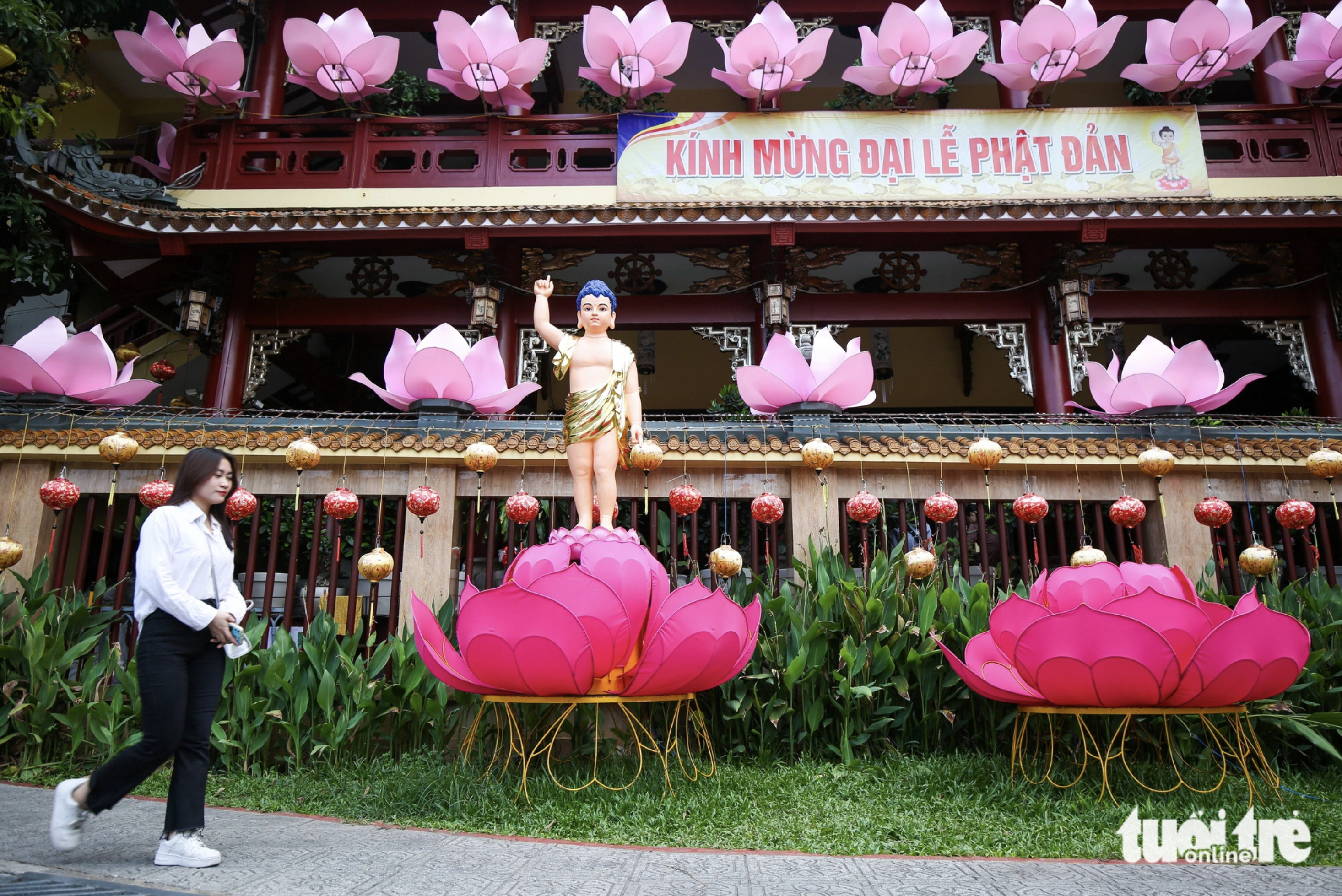 A girl walks in front of a pagoda festooned with lotus-shaped lanterns in Ho Chi Minh City. Photo: Phuong Quyen / Tuoi Tre