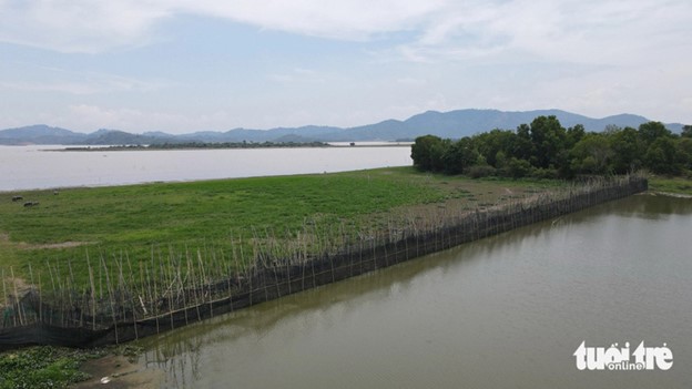 The pig farm’s owner releases wastewater from his pig farm into the lake for farming fish. Photo: Trung Tan / Tuoi Tre