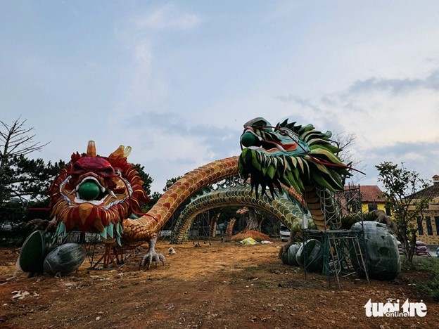 The pair of dragon mascots are erected in Da Lat City. Photo: M.V. / Tuoi Tre