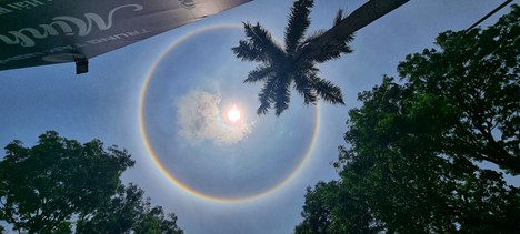 Scientists say it is a normal natural phenomenon. Photo: Tien Thang / Tuoi Tre