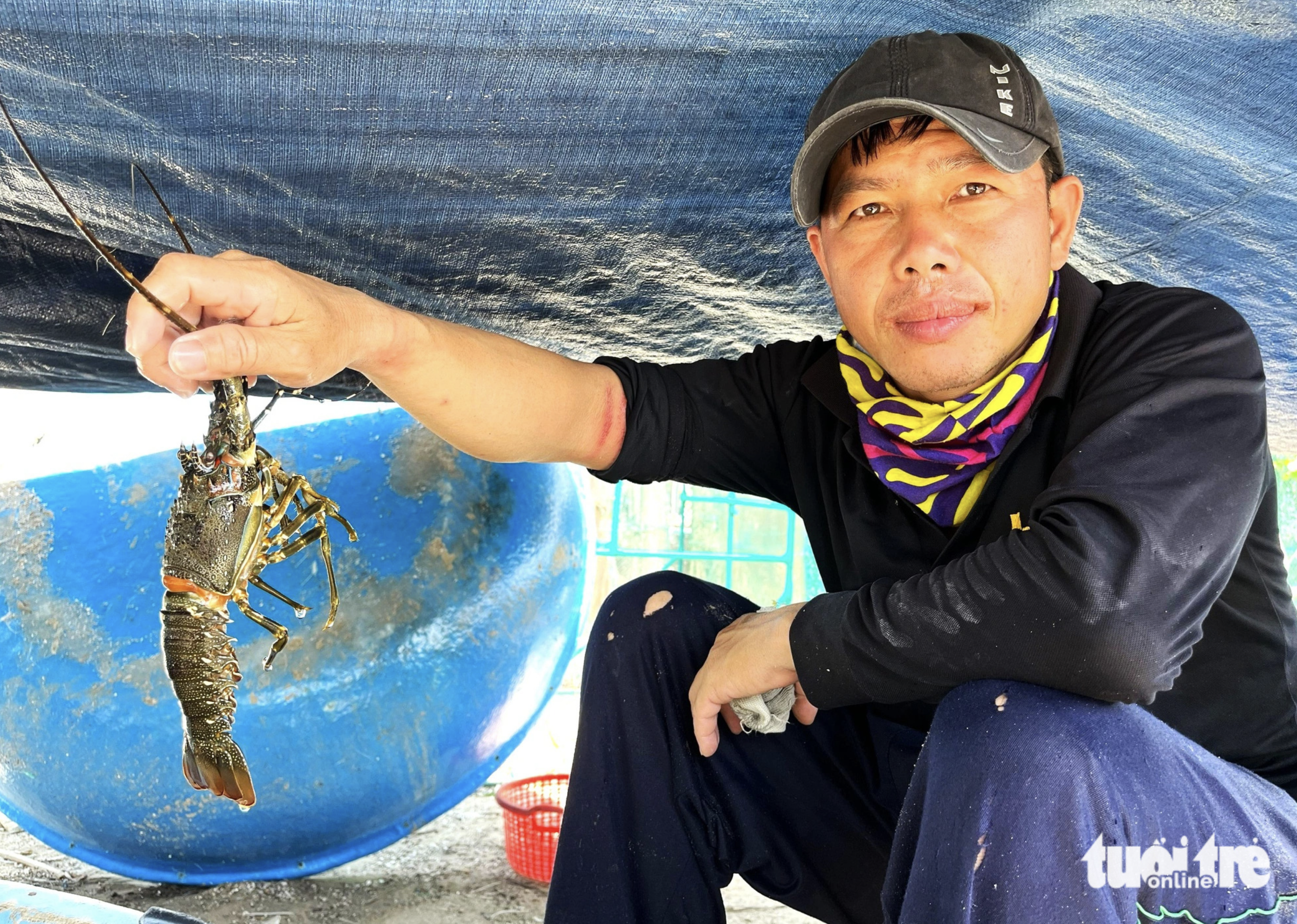 Vietnam’s Phu Yen Province cries for help amid mass lobster die-off