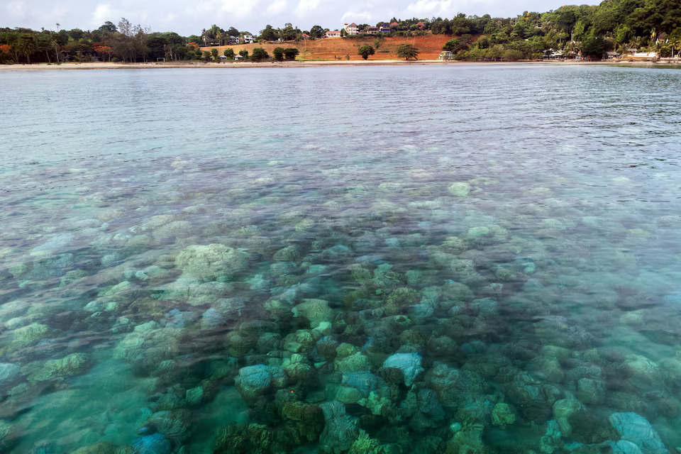 A drone view shows bleached corals in a reef near a resort in Koh Mak, Trat province, Thailand, May 8, 2024. This year so far the country's weather recorded the highest temperature at 44.2 degrees Celsius affecting the seawater temperature as well. Photo: Reuters