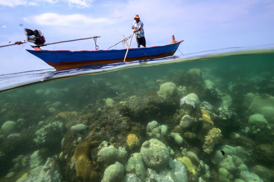Sommay Singsura, a fisherman, is seen close to bleached corals near Chao Lao Beach, Chantaburi province, Thailand, May 10, 2024. This year so far the country's weather recorded the highest temperature at 44.2 degrees Celsius affecting the seawater temperature as well. Photo: Reuters