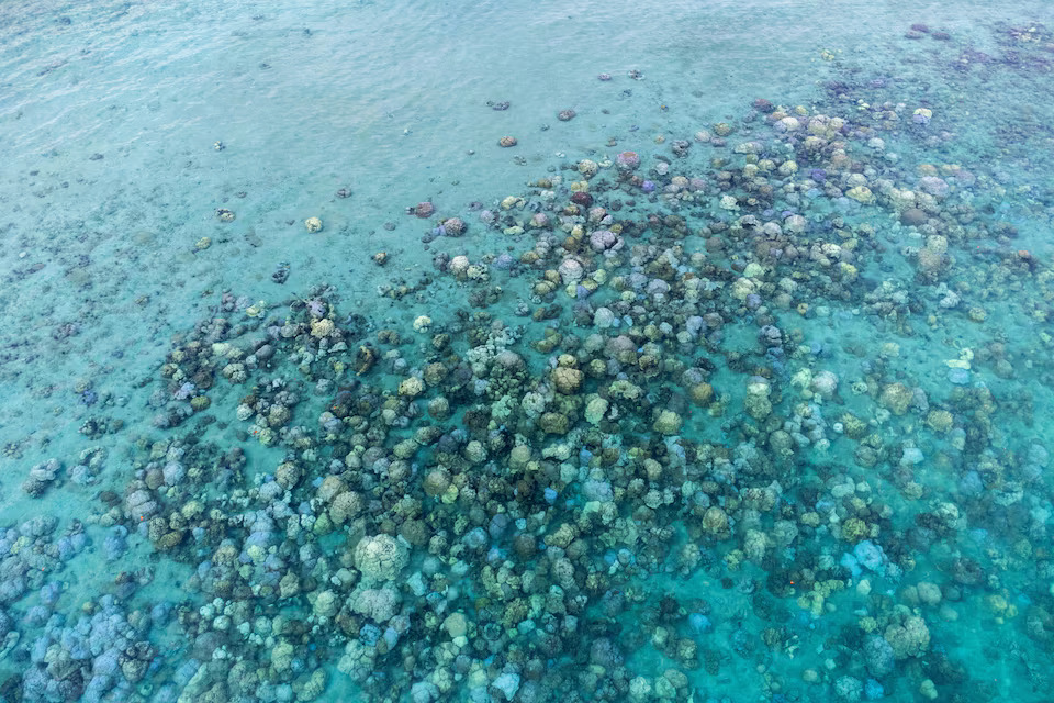 A drone view shows bleached corals in a reef near a resort in Koh Mak, Trat province, Thailand, May 8, 2024. This year so far the country's weather recorded the highest temperature at 44.2 degrees Celsius affecting the seawater temperature as well. Photo: Reuters