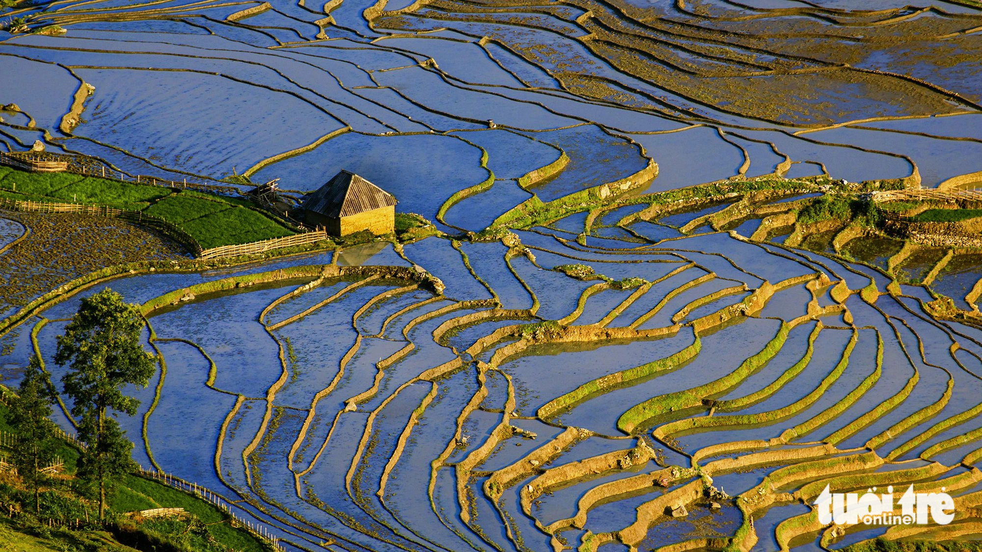 Photo of the Day: Nature and humans create stunning painting of terraces in northern Vietnam