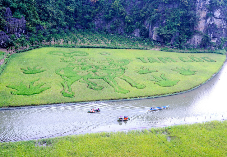 Colossal flute-playing buffalo shepherd artwork on rice field stars in Vietnam’s Ninh Binh tourism week