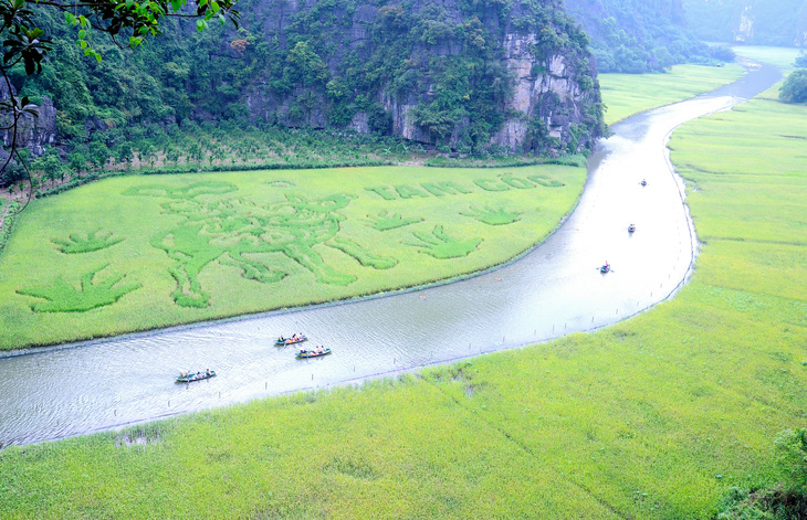 A bird's-eye view of the colossal artwork depicting a flute-playing shepherd boy riding his buffalo amidst the picturesque rice fields in the Tam Coc-Bich Dong tourist area in Ninh Binh Province, northern Vietnam. Photo: Ninh Binh Department of Tourism