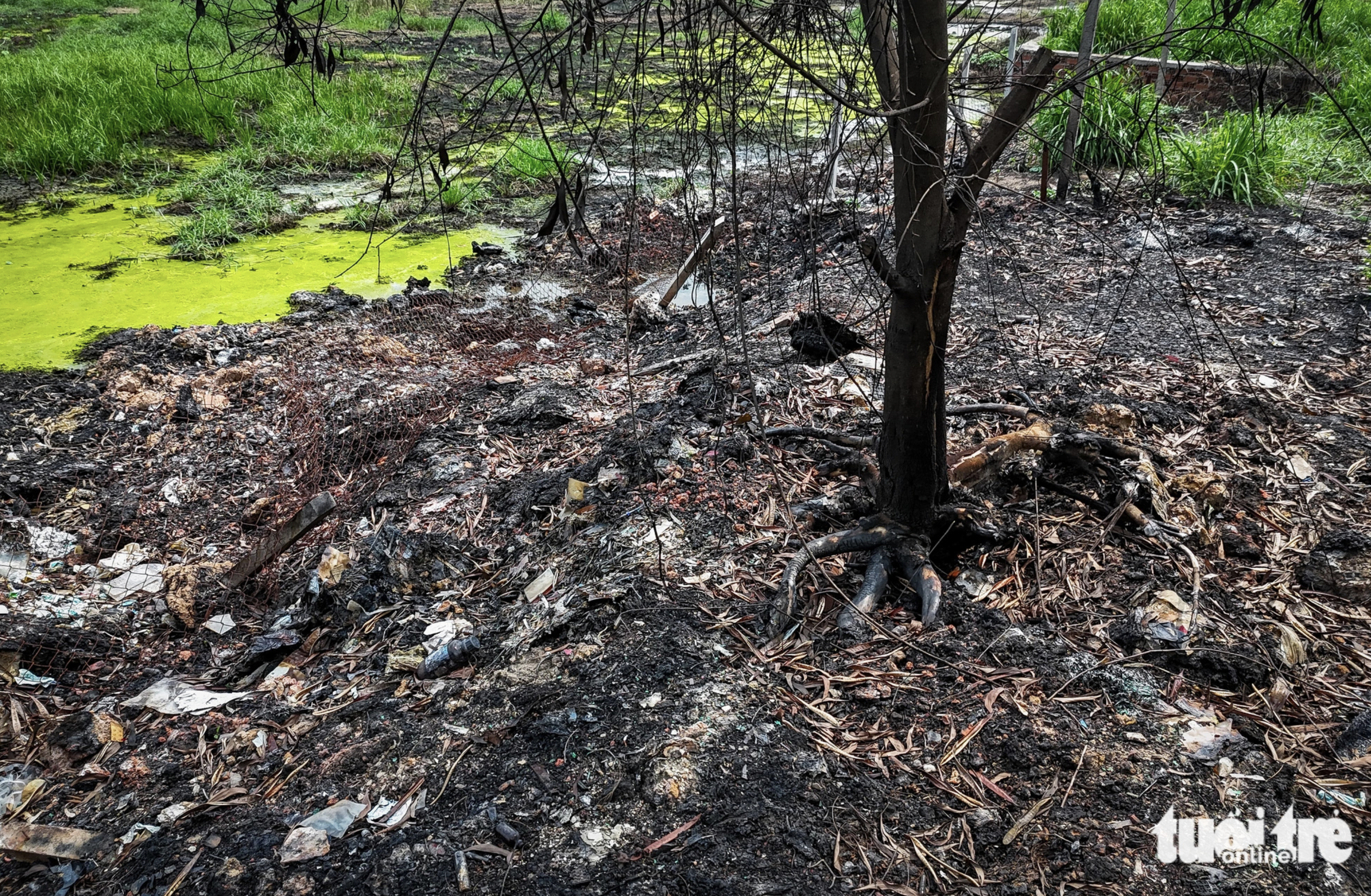 A tree in the dumpsite is pictured being charred. Photo: Ngoc Khai / Tuoi Tre