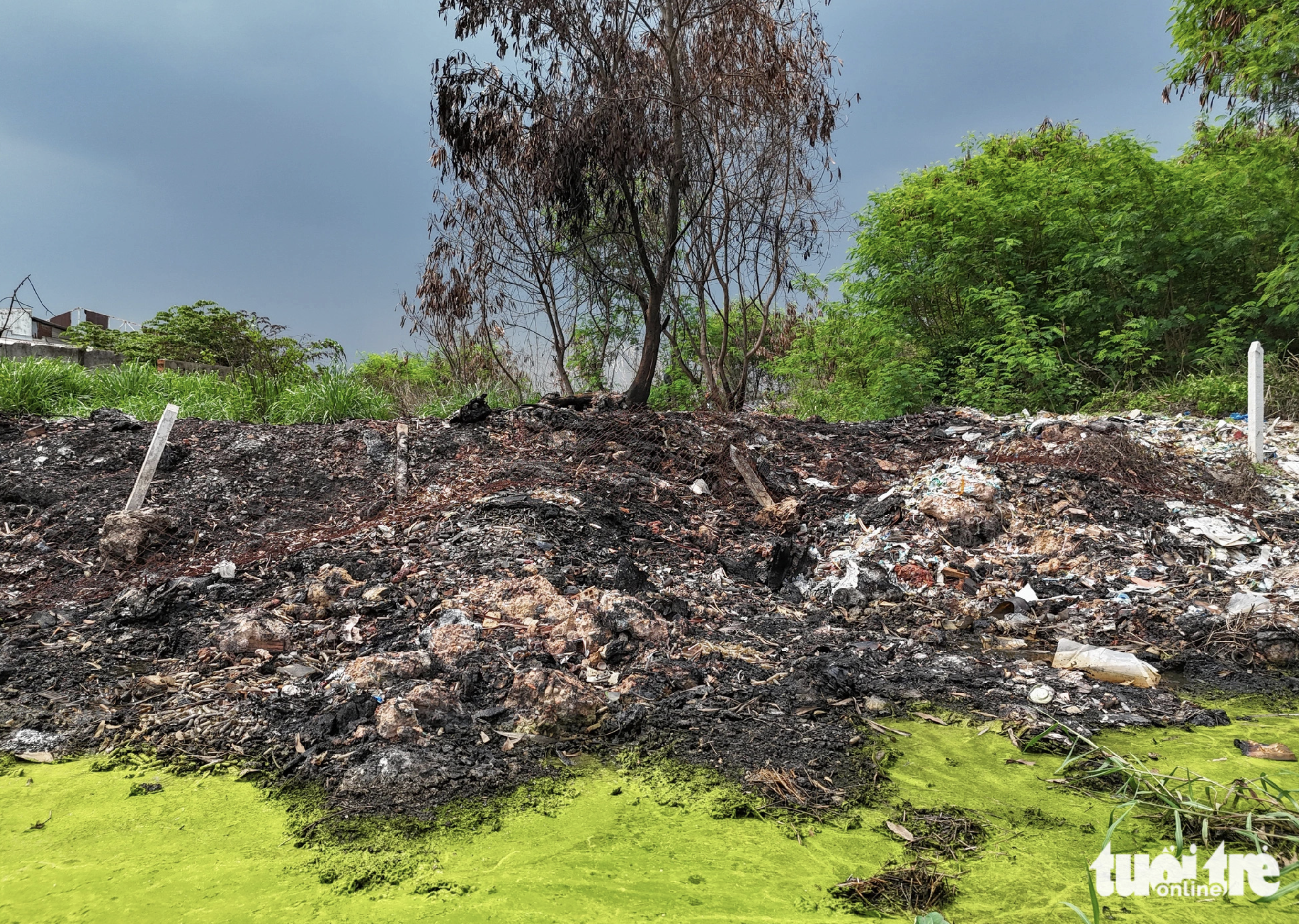Medical waste encroaches on a nearby swamp in Binh Tan District, Ho Chi Minh City. Photo: Ngoc Khai / Tuoi Tre