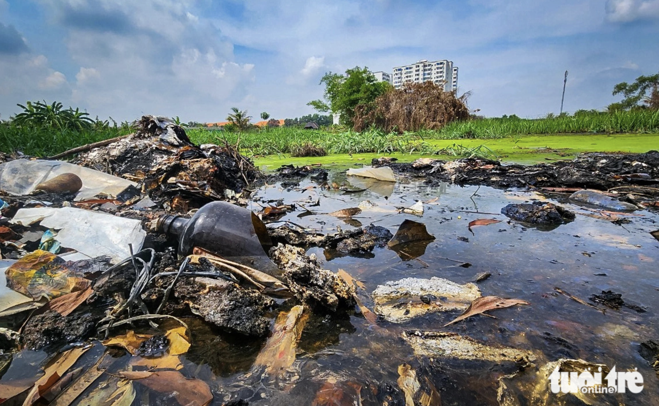 A swamp in Binh Tan District, Ho Chi Minh City packed with broken glass bottles and burned medical waste. Photo: Chau Tuan / Tuoi Tre