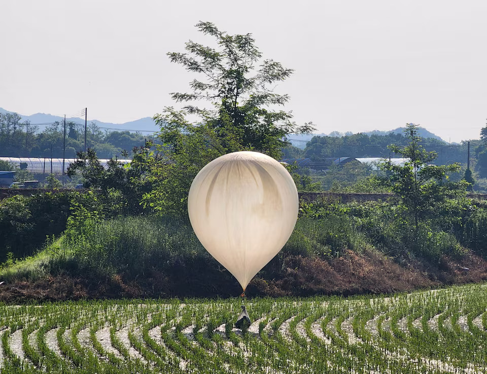 [6/6]A balloon believed to have been sent by North Korea, carrying various objects including what appeared to be trash and excrement, is seen over a rice field at Cheorwon, South Korea, May 29, 2024. Photo: Reuters