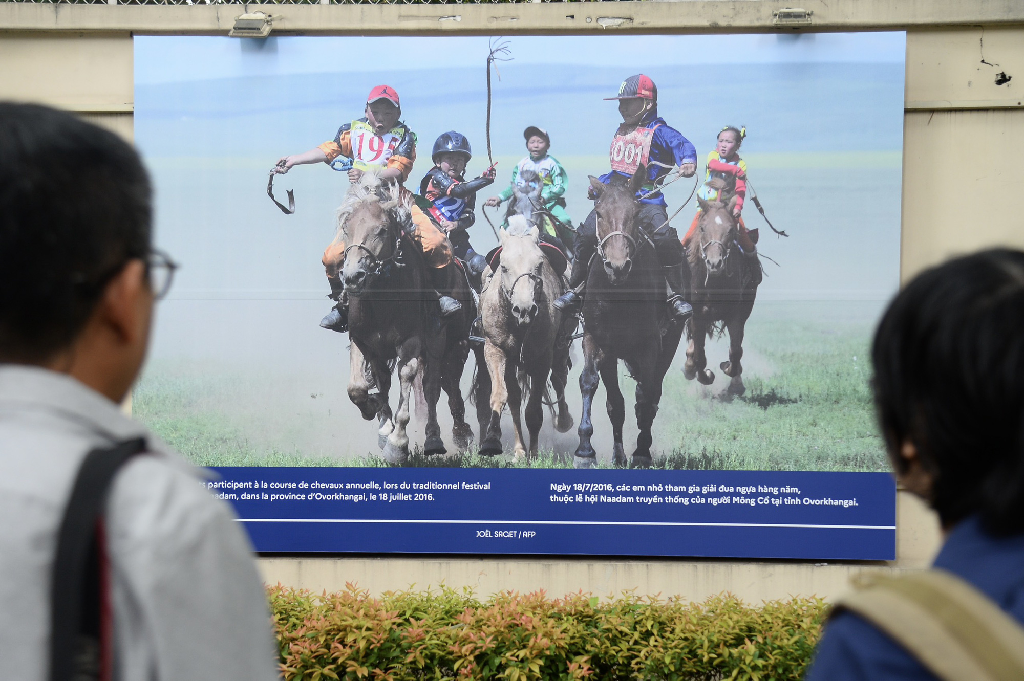 A photo depicts children participating in an annual horse race during the traditional Mongolian Naadam festival. Photo: Hai Quynh / Tuoi Tre