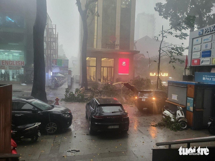 A tree branch falls down during heavy rainfall on Pham Ngoc Thach Street in District 1, Ho Chi Minh City, June 14, 2024. Photo: Tuong Vy / Tuoi Tre
