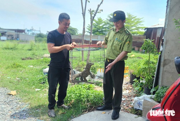 Resident hands over endangered clouded monitor to rangers in Ho Chi Minh City