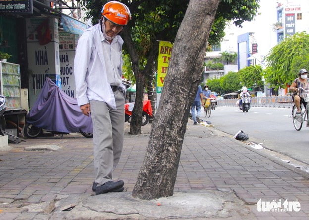 Many trees suffocated by concrete in Ho Chi Minh City district