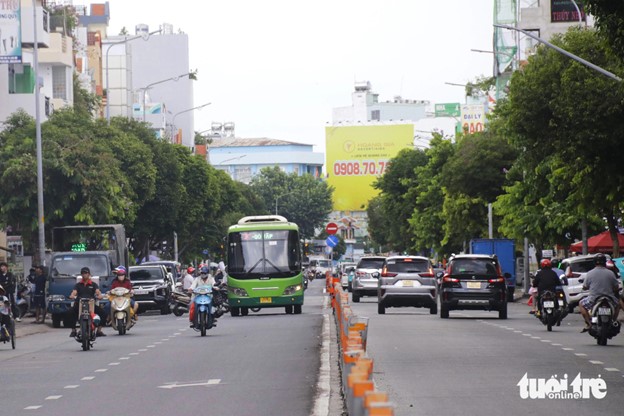 Along Nguyen Thai Son Street in Go Vap District, Ho Chi Minh City is some 20 trees which are four to five meters high each. Some of them have their feet deformed. Photo: Tien Quoc / Tuoi Tre