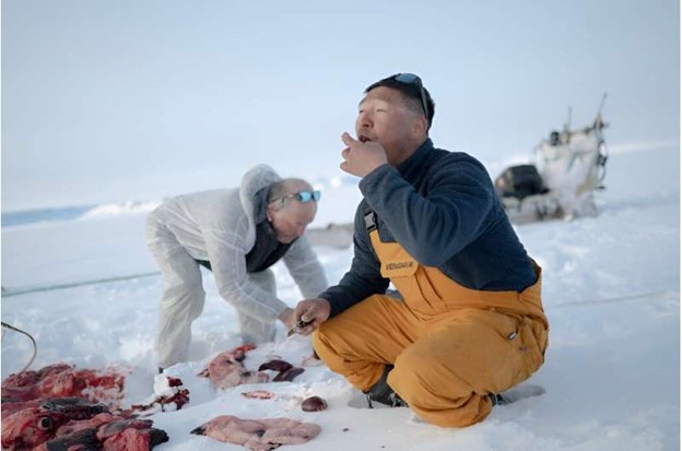 Inuit hunters Hjelmer Hammeken (left) and Martin Madsen eat the liver of the ring seal they just killed.