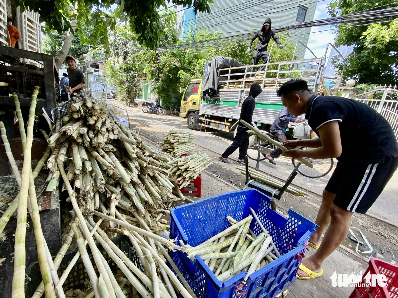 A vendor sells sugar cane on the railway in Thanh Khe District, Da Nang City, central Vietnam. Photo: Truong Trung / Tuoi Tre