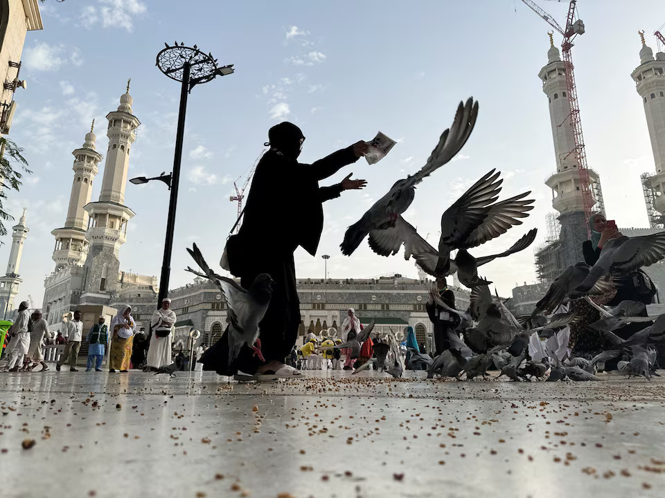 [17/42]A Muslim woman feeds pigeons at the Grand Mosque, ahead of the annual haj pilgrimage, in Mecca, Saudi Arabia, June 9.  Photo: Reuters