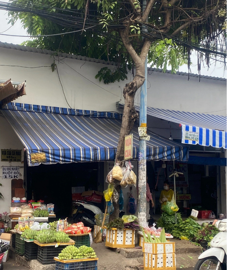 A household hangs many products for sale on a tree in Binh Tan District, Ho Chi Minh City. Photo: Hong Diep / Tuoi Tre