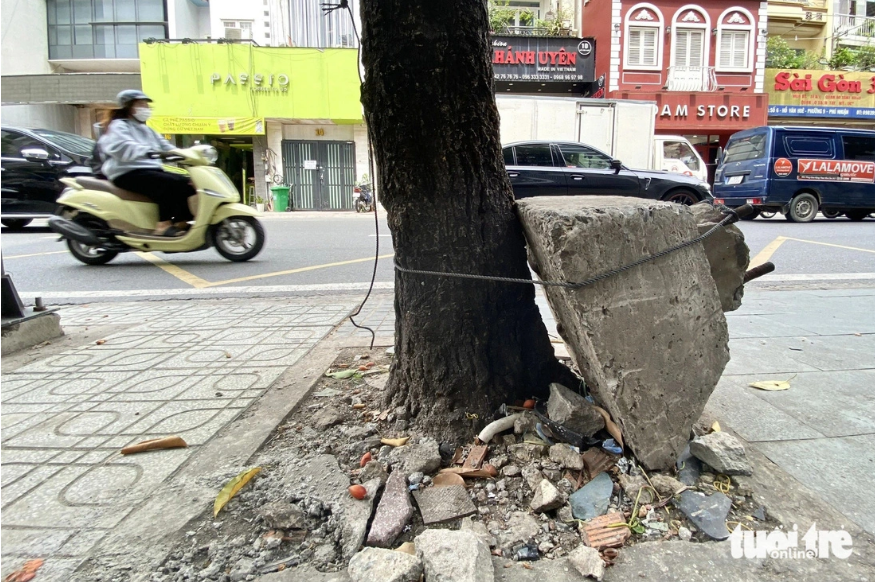 A large concrete block is tied to a tree on Ho Van Hue Street in Phu Nhuan District, Ho Chi Minh City. Photo: Tien Quoc / Tuoi Tre