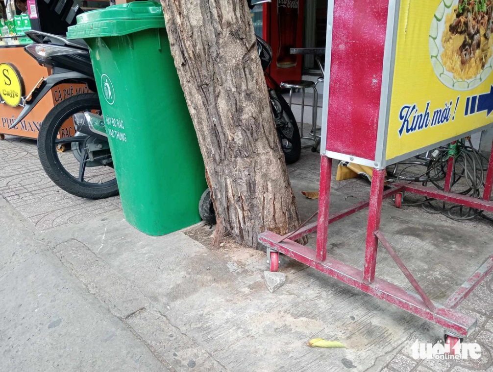 Concrete covers the roots of a tree on Bach Dang Street in Tan Binh District, Ho Chi Minh City. Photo: Dinh Duong / Tuoi Tre
