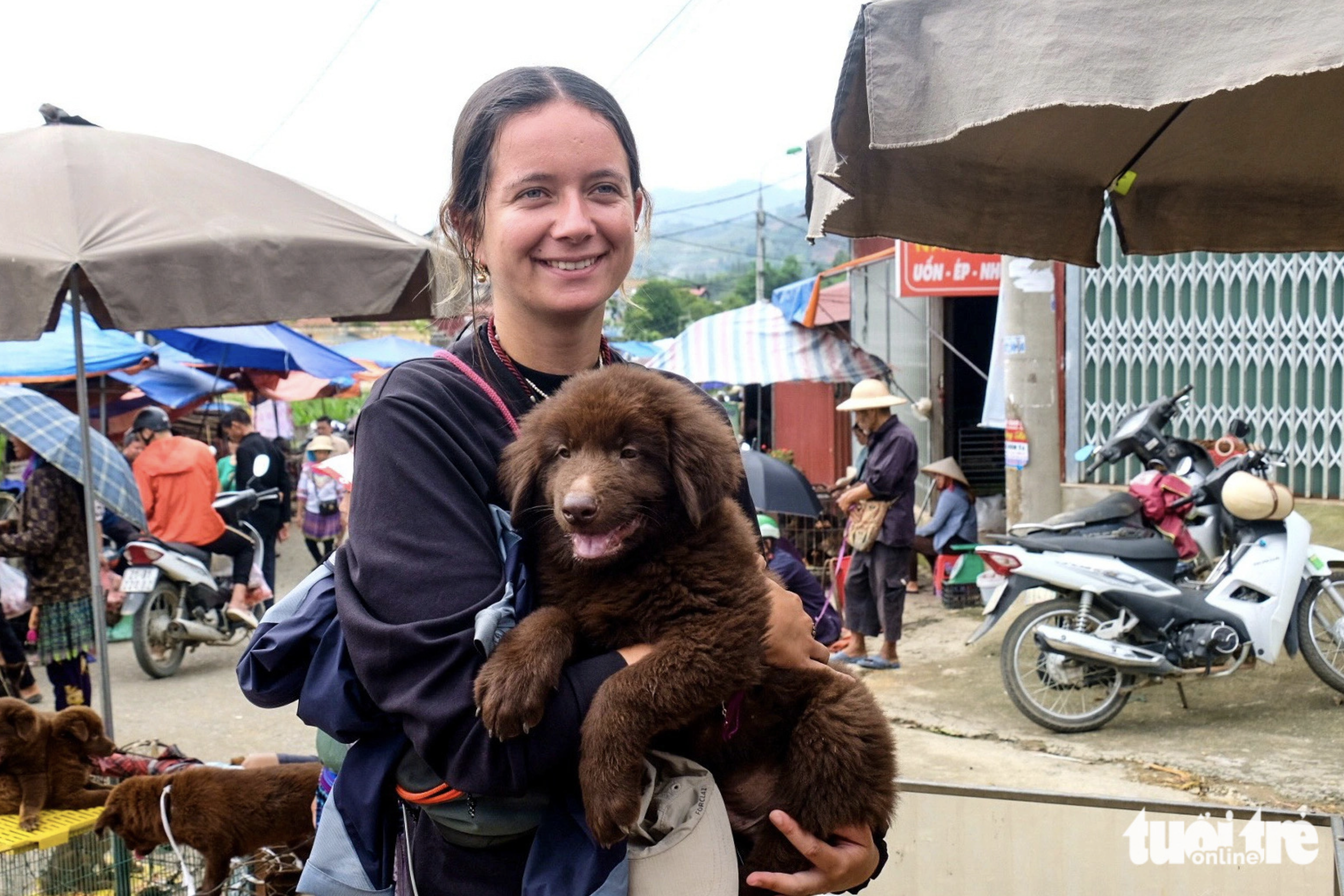 Live stream dog sales thrive at northern Vietnam market