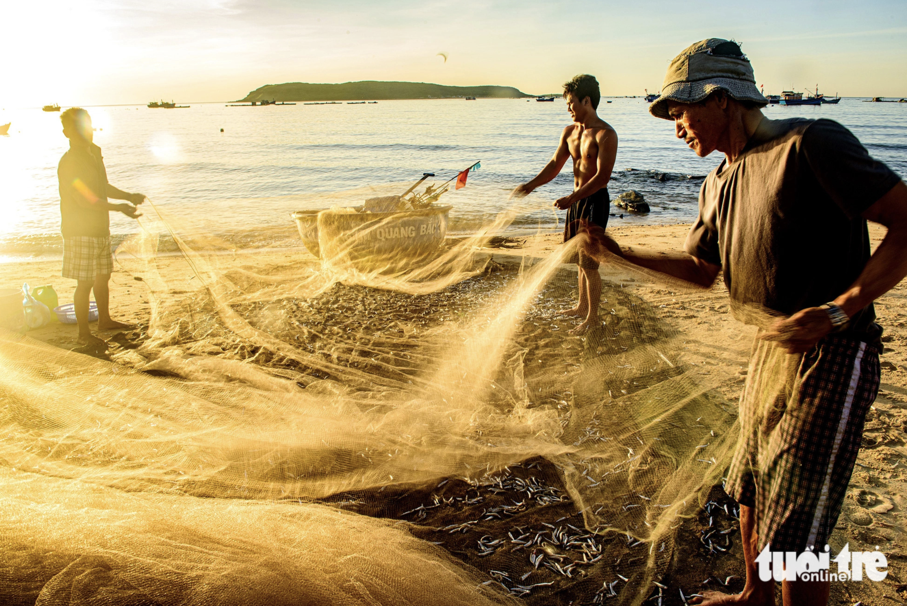 Fishermen harvest anchovies after netting them in Phu Yen Province, south-central Vietnam.