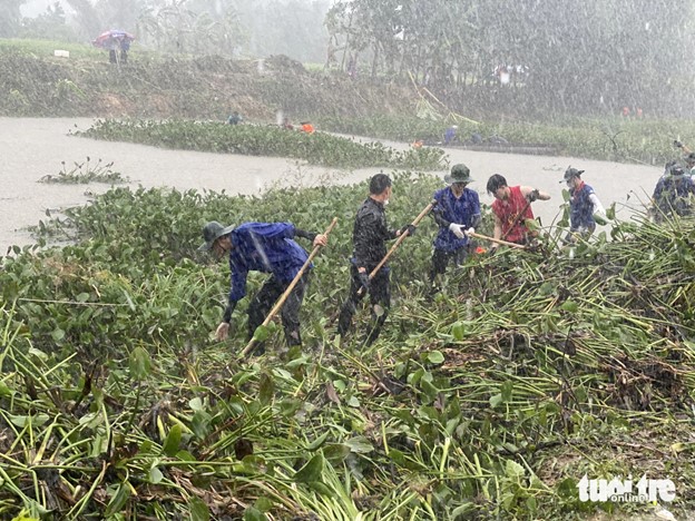 Hundreds of youngsters collect water hyacinth from lake in central Vietnam