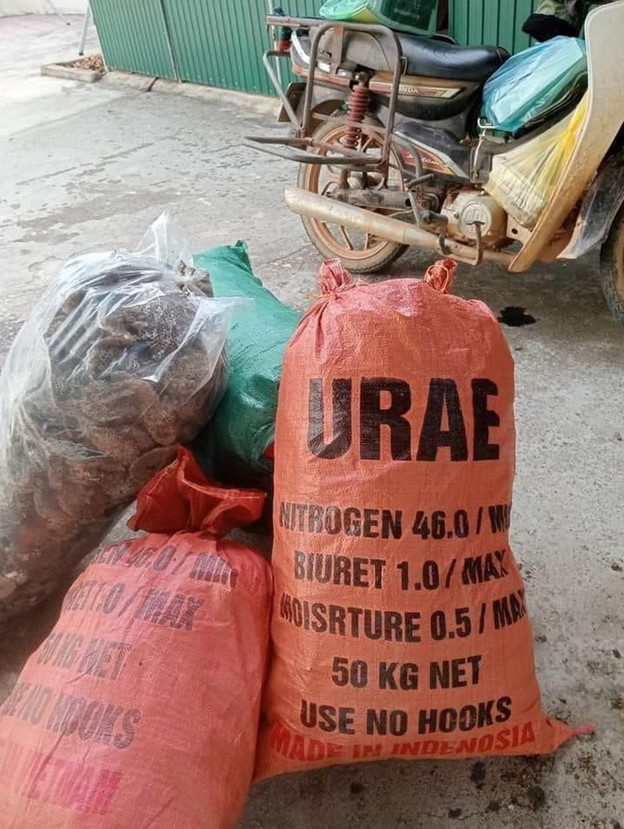 Wasps’ nests are believed to be sold to China. Photo: Anh Nguyet / Tuoi Tre